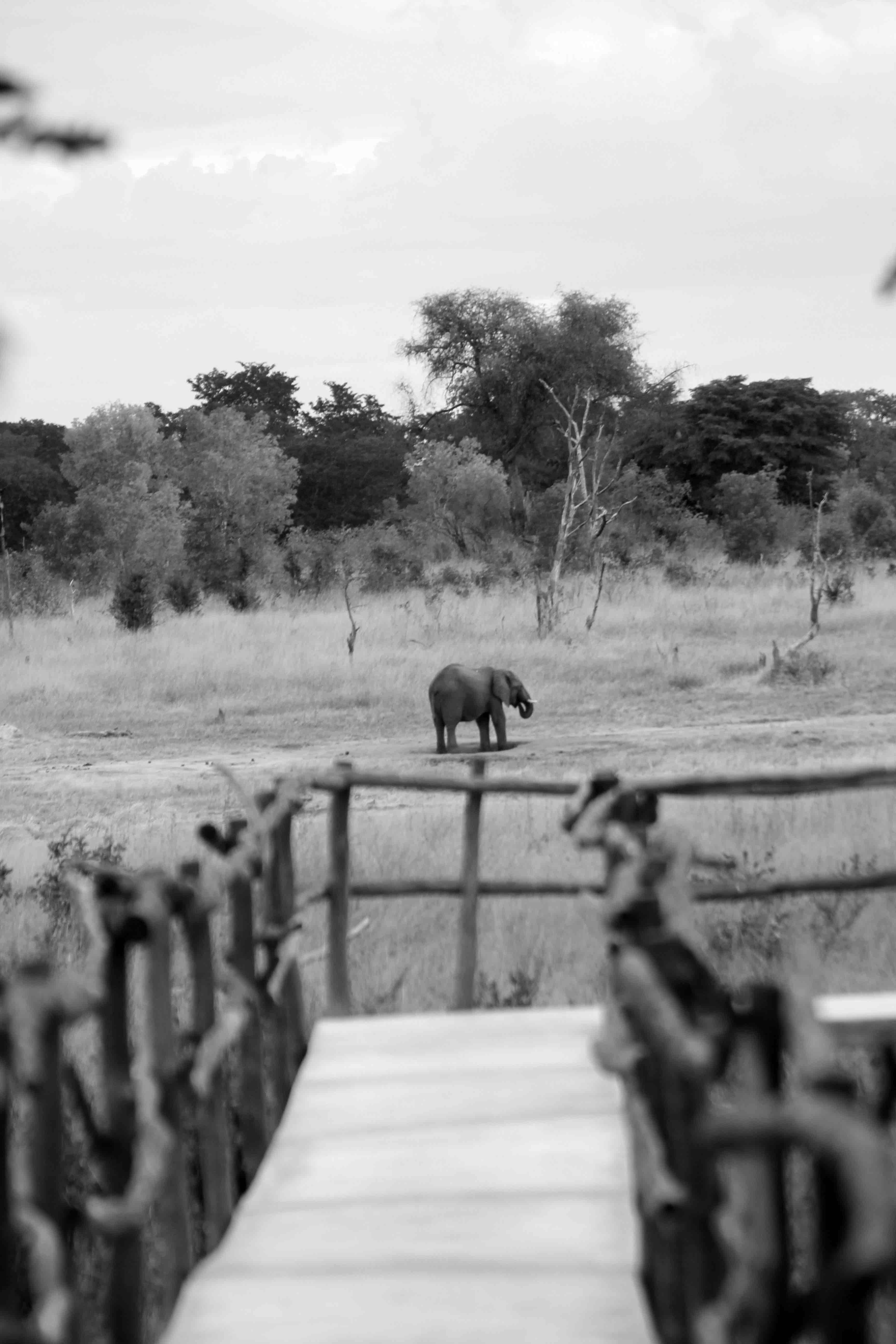 Carsten Jacobs Photography